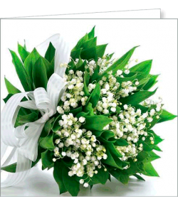 Kartka bez tekstu FF 53