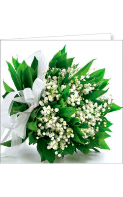 Kartka bez tekstu FF 53