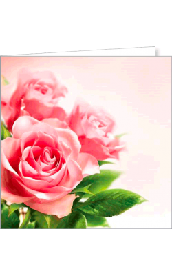 Kartka bez tekstu FF 61