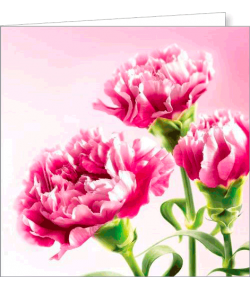 Kartka bez tekstu FF 64