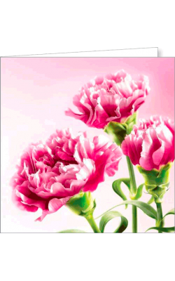 Kartka bez tekstu FF 64