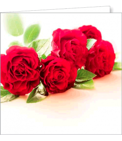 Kartka bez tekstu FF 70