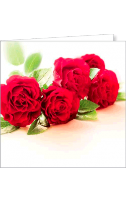 Kartka bez tekstu FF 70