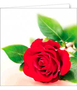 Kartka bez tekstu FF 71