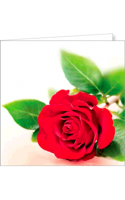 Kartka bez tekstu FF 71