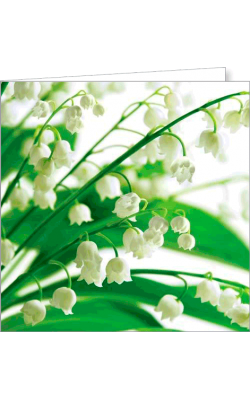 Kartka bez tekstu FF 73