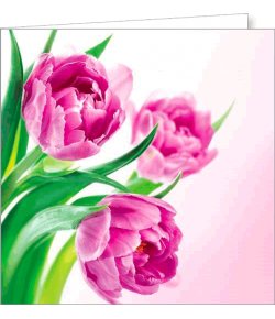 Kartka bez tekstu FF 76