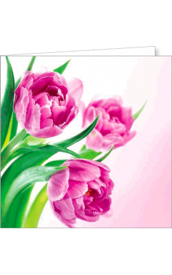 Kartka bez tekstu FF 76