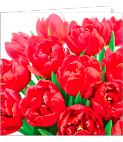 Kartka bez tekstu FF78