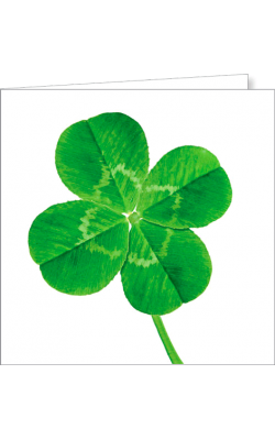 Kartka bez tekstu FF 82