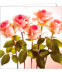 Kartka bez tekstu FF 101