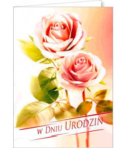 Kartka urodzinowa z życzeniami FF1205