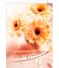 Kartka urodzinowa FF 1208