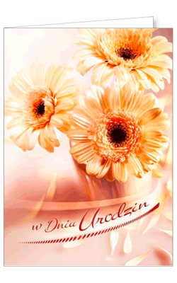 Kartka urodzinowa FF 1208