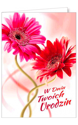 Kartka urodzinowa FF 1210