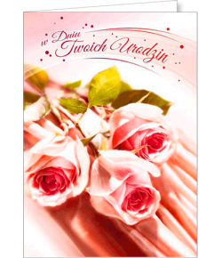 Kartka urodzinowa FF 1212