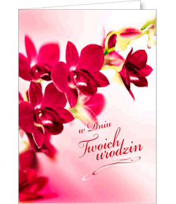 Kartka urodzinowa składana FF 1268