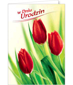 Kartka Urodzinowa FF 1201