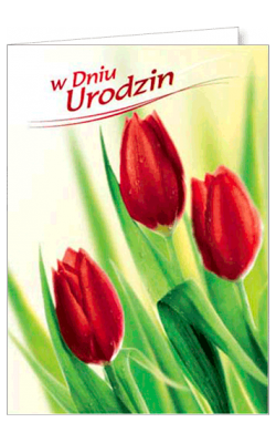 Kartka Urodzinowa FF 1201