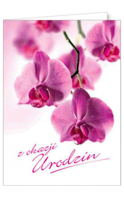 Kartka na urodziny z życzeniami FF 1202