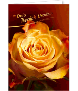 Kartka urodzinowa  FF 1220