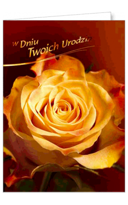 Kartka urodzinowa  FF 1220