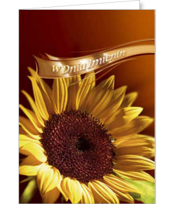 Kartki imieninowe z życzeniami FF 1221