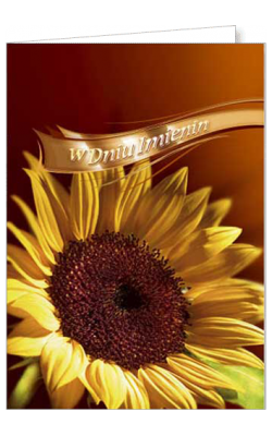 Kartki imieninowe z życzeniami FF 1221