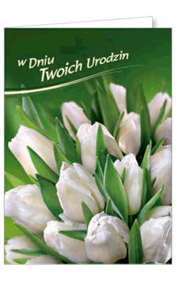 Kartka Urodzinowa FF 1226