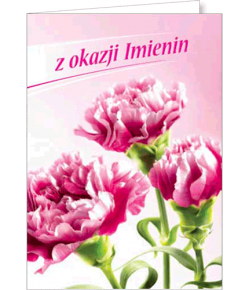 Kartka imieninowa z życzeniami FF 1264