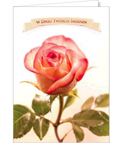 Kartka imieninowa z życzeniami FF 1272