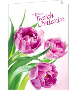 Kartka na imieniny z życzeniami FF 1276