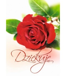 Podziękowania Dziękuje  FP 1271