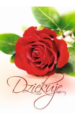 Podziękowania Dziękuje  FP 1271