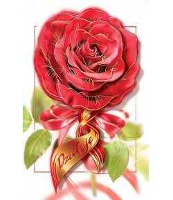 Podziękowania Dziękuje  KD 05