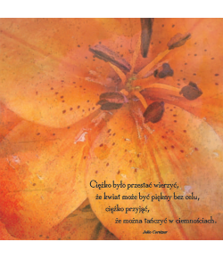 Kartka bez tekstu P22 10