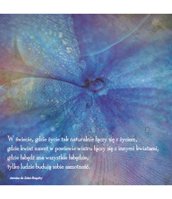 Kartka bez tekstu P22 12