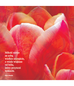 Kartka bez tekstu P22 19