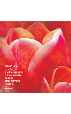 Kartka bez tekstu P22 19