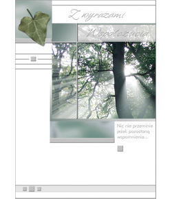 Kartka z Wyrazami Współczucia  WR3