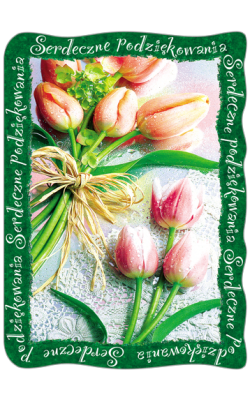 Kartka Podziękowanie R19