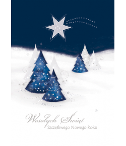 Pejzaż zimowy kartka z tekstem GD-T 66