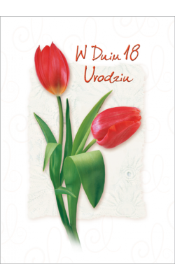 Kartka na 18-te urodziny KZ30