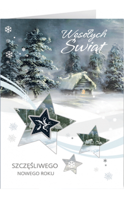 Świąteczny pejzaż nocny kartka z życzeniami  B-T 592