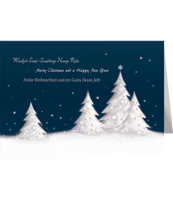 Pejzaż świąteczny kartka bez życzeń  K-BT 153