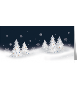 Pejzaż zimowy L-T 994