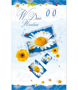 Kartka urodzinowa  PR04