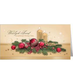 Kartka świąteczna bez tekstu L-BT 987