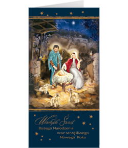 Kartka na Boże Narodzenie LR-T 801