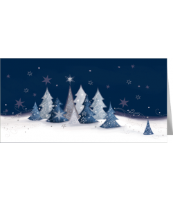 Pejzaż zimowy kartka z życzeniami LZ-T 62
